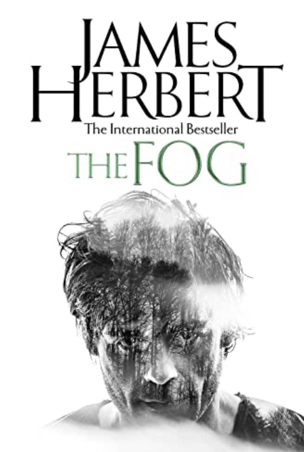 The Fog by James Herbert