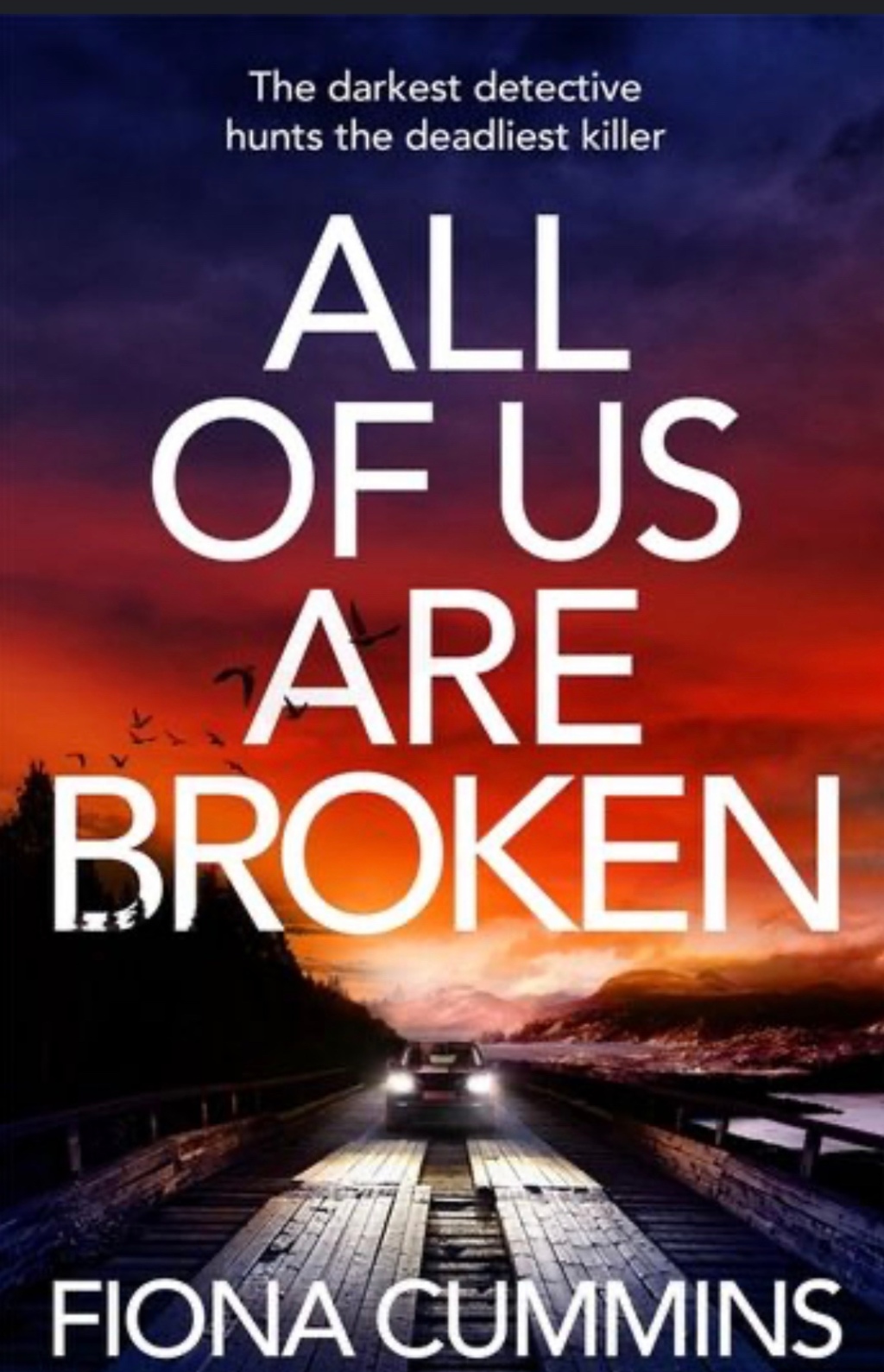 All Of Us Are Broken by Fiona Cummins